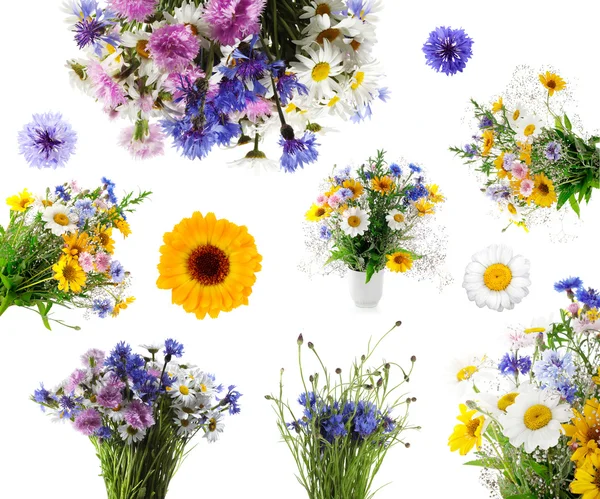 Collection of fresh bouquet — Stock Photo, Image