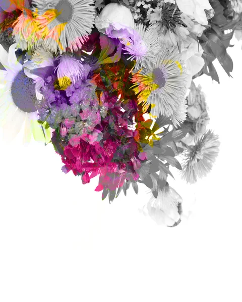 Abstract flower background. — Stock Photo, Image