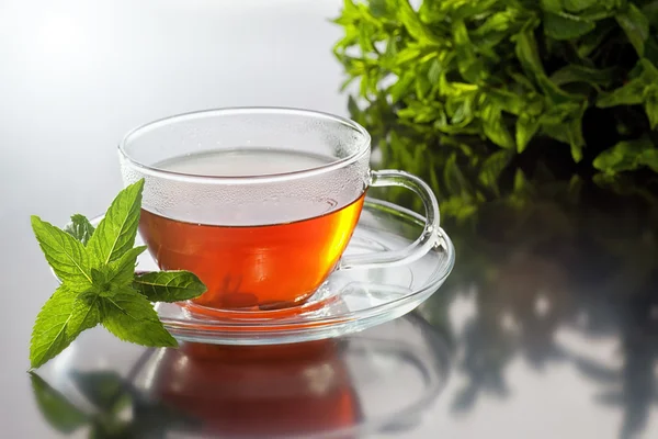 Transparente Tasse mit grünem Tee und frischem Kräuterstrauß — Stockfoto