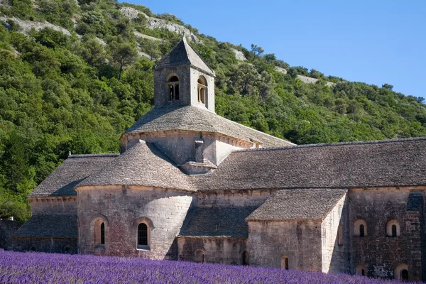 Abbaye Notre-Dame de Sénanque