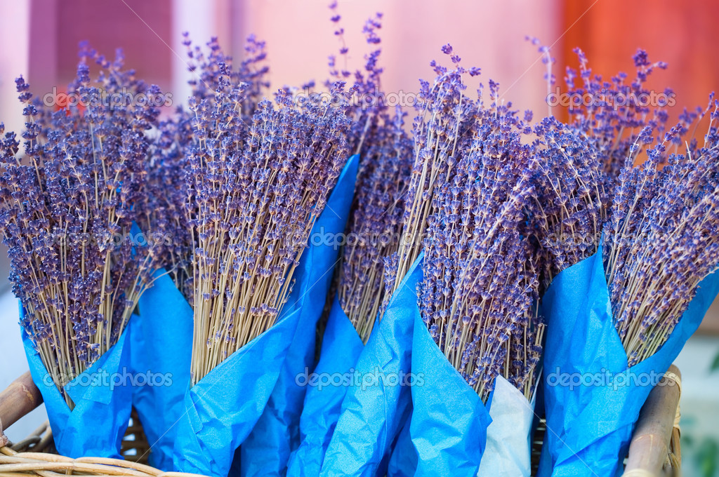 ラベンダーの花の束 ストック写真 C Bienchen ラベンダーの花の束 ストック写真 C Bienchen