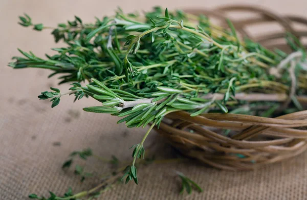 Bunch of rosemary and thyme — Stock Photo, Image