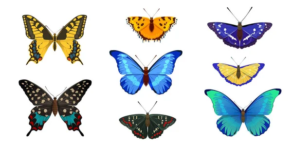 Realistyczne Tropikalne Motyle Piękne Owady Jasnymi Kolorowymi Skrzydłami Ilustracja Wektora — Wektor stockowy