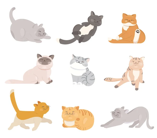 Забавні Мультяшні Коти Різних Кольорів Позу Плоска Векторна Ілюстрація — стоковий вектор