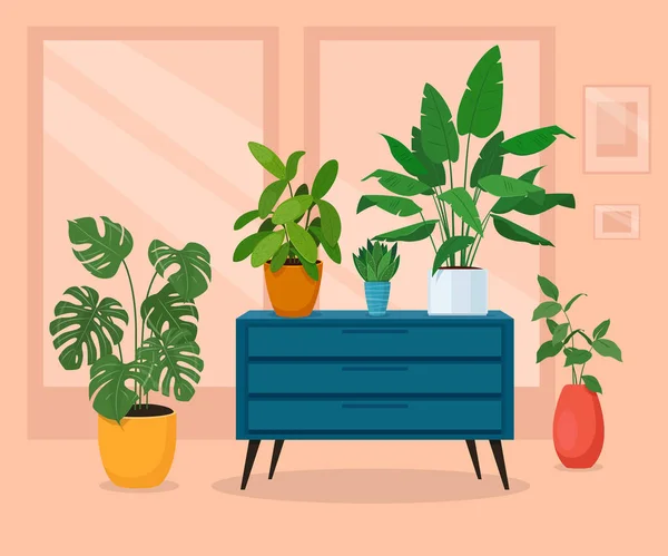 Plantas Interiores Diferentes Interior Plantas Casa Potes Estão Uma Cômoda — Vetor de Stock