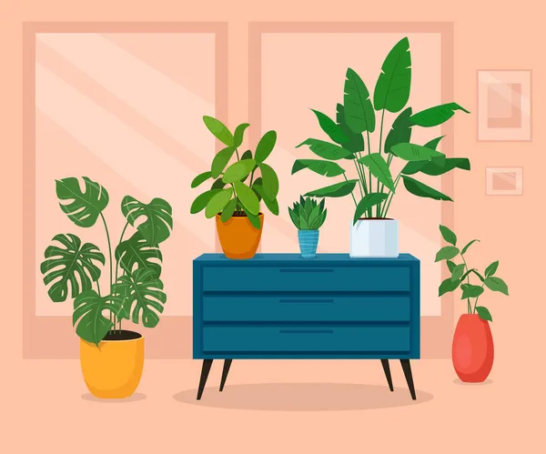 Különböző Beltéri Növények Belső Térben Házi Növények Cserépben Áll Egy — Stock Vector