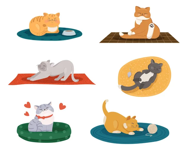 Забавні Мультяшні Коти Різних Кольорів Позу Плоска Векторна Ілюстрація — стоковий вектор