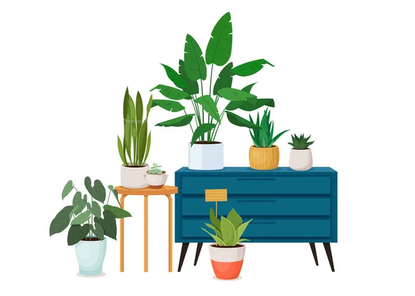 Diverse kamerplanten in potten in het interieur — Stockvector