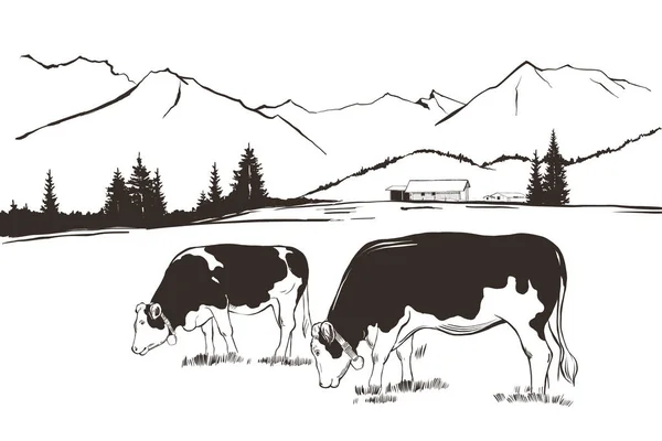 乡村山景 农场和奶牛在牧场 老式手绘风格的矢量图解 — 图库矢量图片