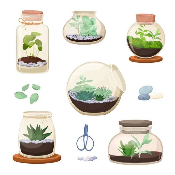 ホームフラワールームのセット 様々な形のガラス瓶のサクランボや他の観葉植物 植物テラリウム ベクターイラスト — ストックベクタ