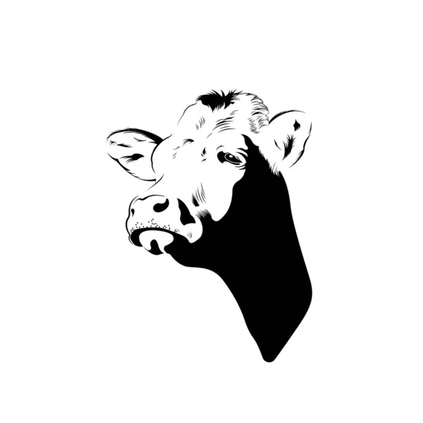 牛头的轮廓 适用于标志设计 用黑白表示的矢量图解 — 图库矢量图片