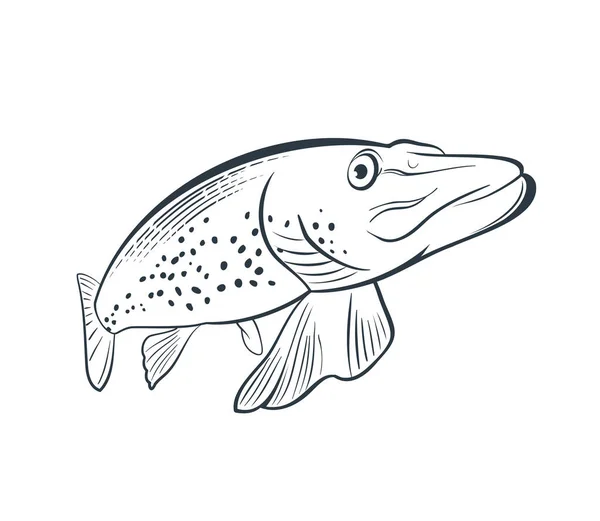 Northern Pike Fish Line Style Fishing Design Element Sticker Shop — Vector de stock