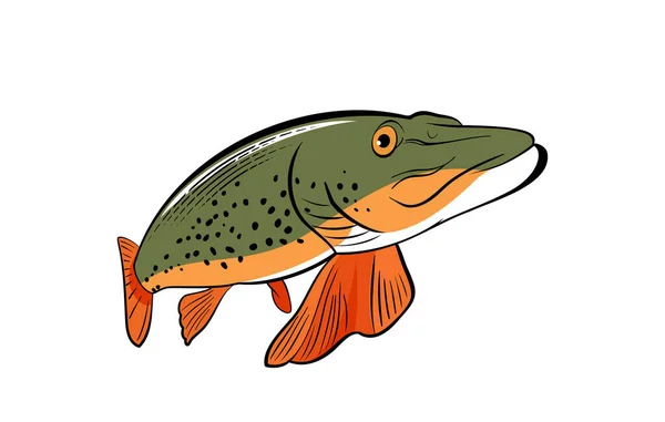 Northern Pike Fish Vintage Style Vector Illustration — Stockvektor