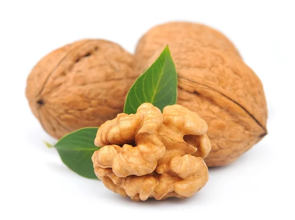 Nueces con hojas —  Fotos de Stock