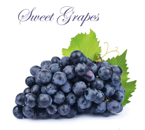 Liście winogron z — Zdjęcie stockowe