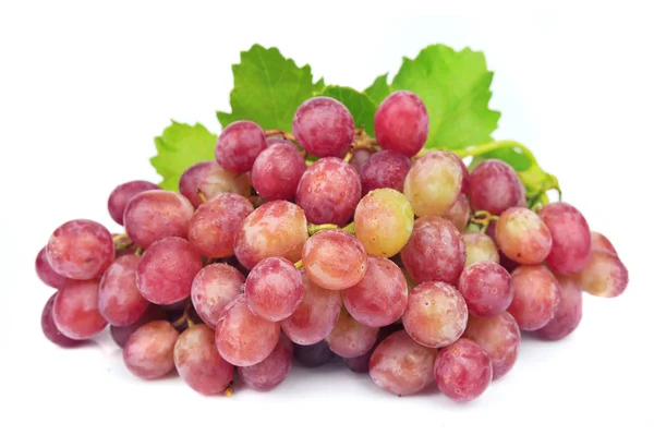 Aglomerado de uvas com folhas — Fotografia de Stock