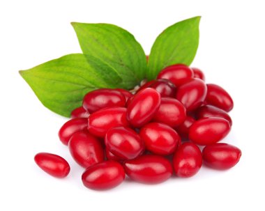 Olgun böğürtlen meyve