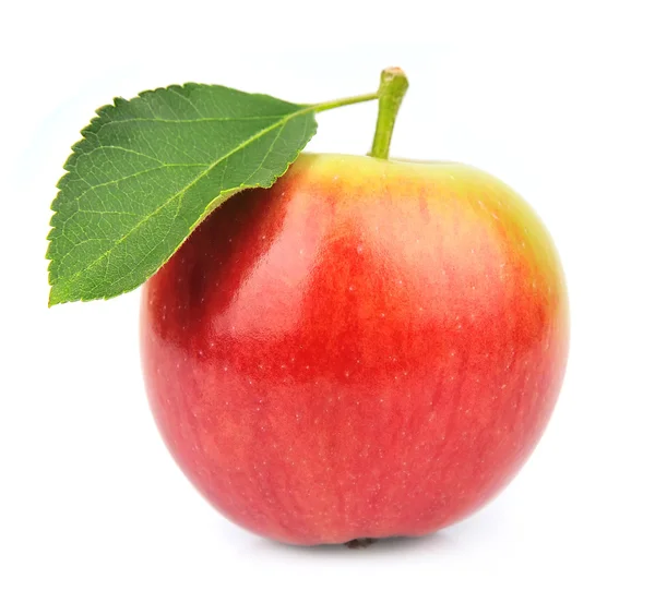 Jeden letní jablko — Stock fotografie
