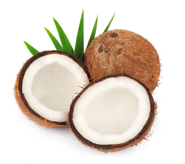 Kokosnuss mit Blättern — Stockfoto