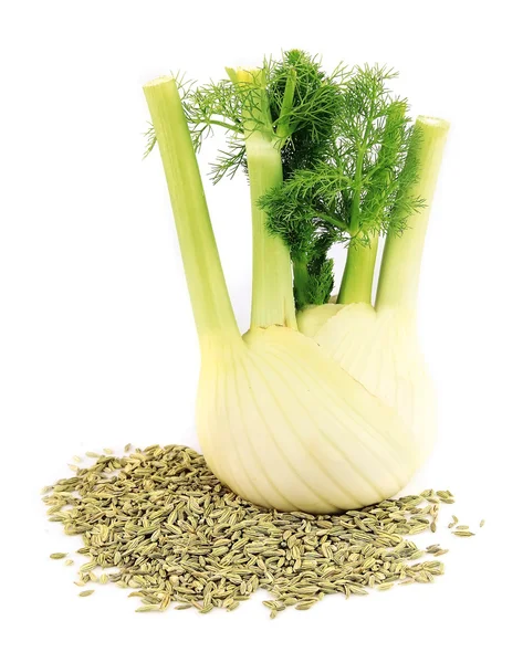 Seeds and a fennel root — Stock Photo, Image