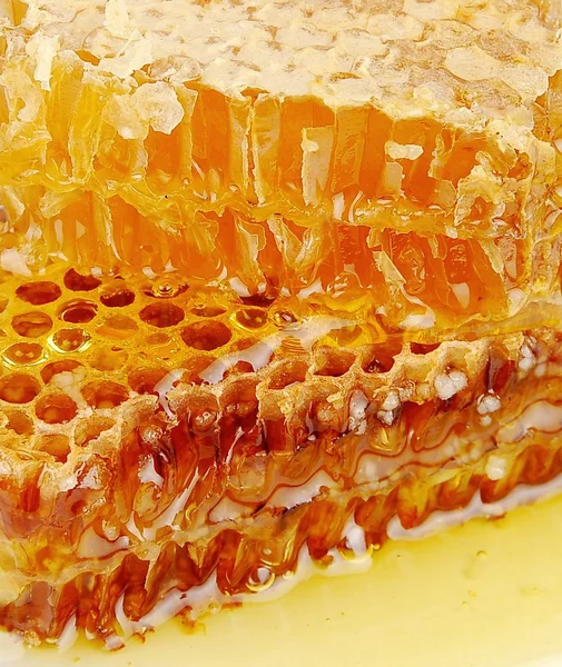 Texture of honeycomb — Stock Photo, Image