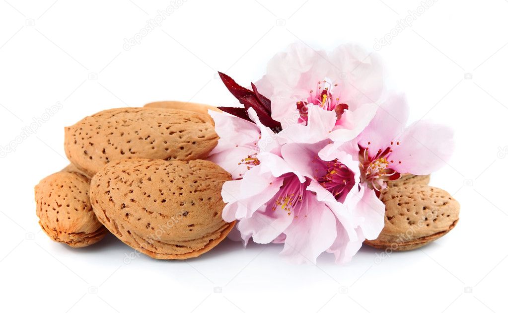 Almonds with leaves and flowers