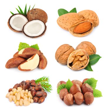 fındık karışımı