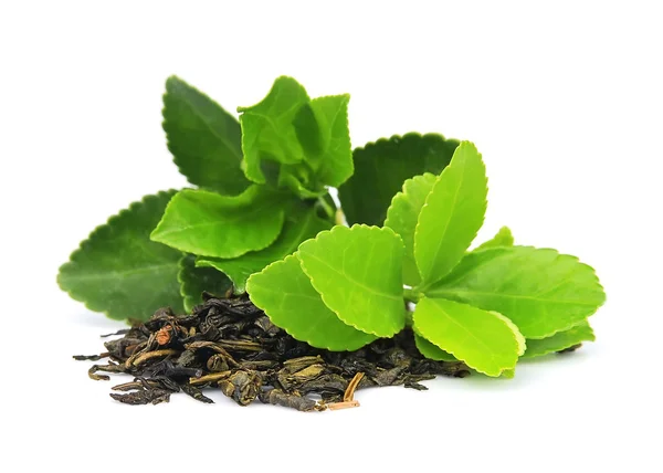 Hojas de té — Foto de Stock