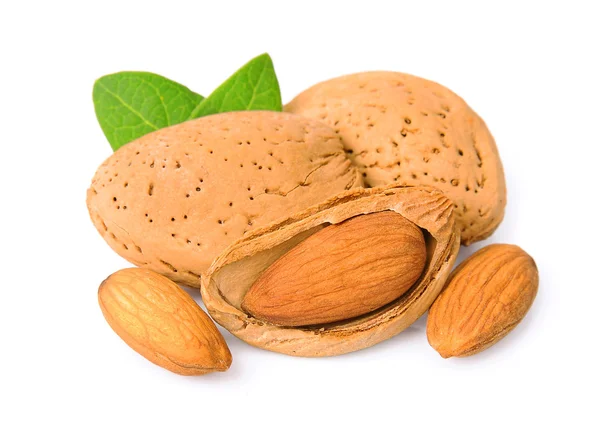Grains of almonds — Stock Photo, Image
