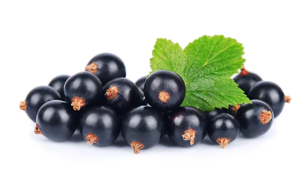 Black currant — Stock Photo, Image