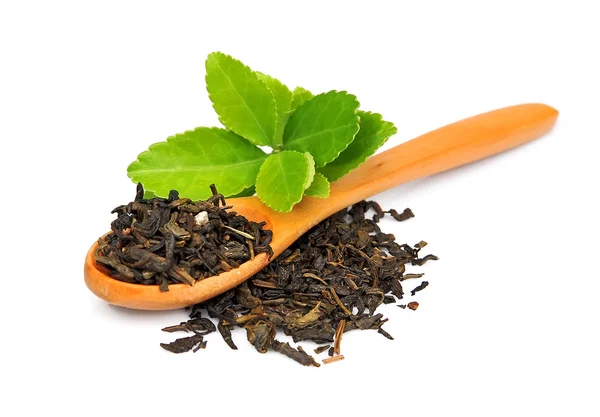 Hojas de té — Foto de Stock