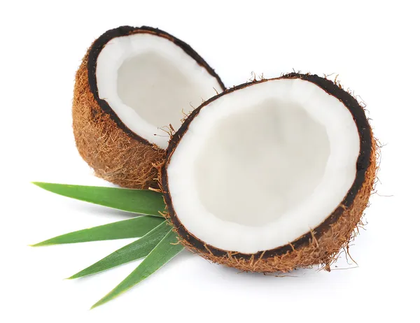 Cocos con hojas — Foto de Stock