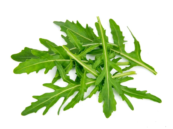 Rucola foglie — Foto Stock