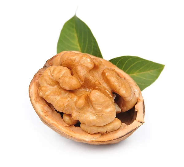 Walnut with leafs — Stock Photo, Image