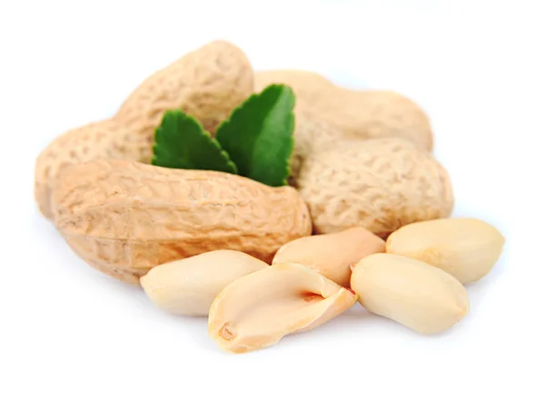 Amendoins secos — Fotografia de Stock