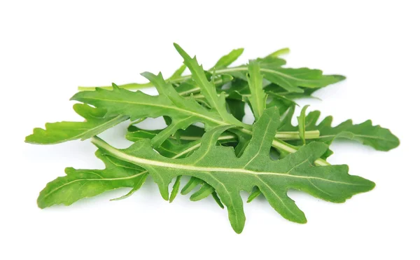 Rucola bladeren — Stockfoto