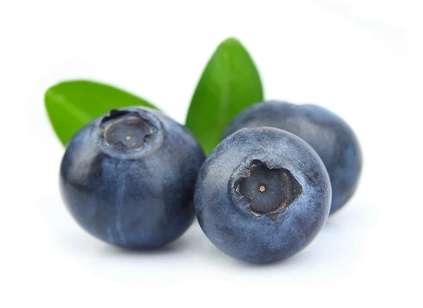 Blueberries — Stock Photo, Image