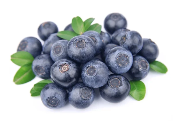 Blueberries with leaves — Stock Photo, Image