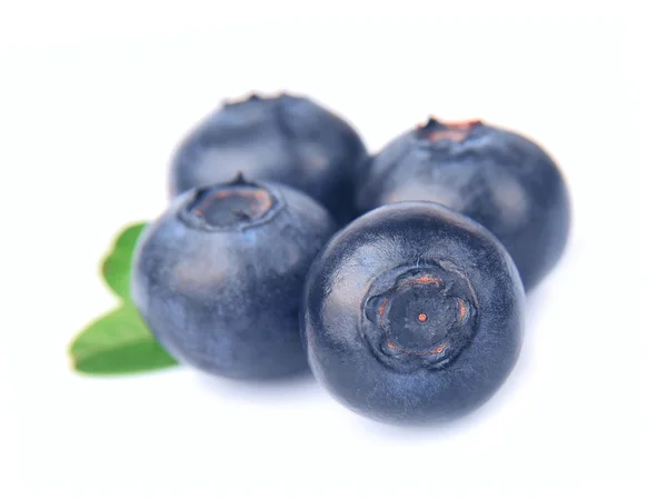 Blueberries — Stock Photo, Image