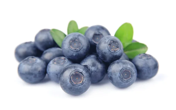 Blaubeeren mit Blättern — Stockfoto