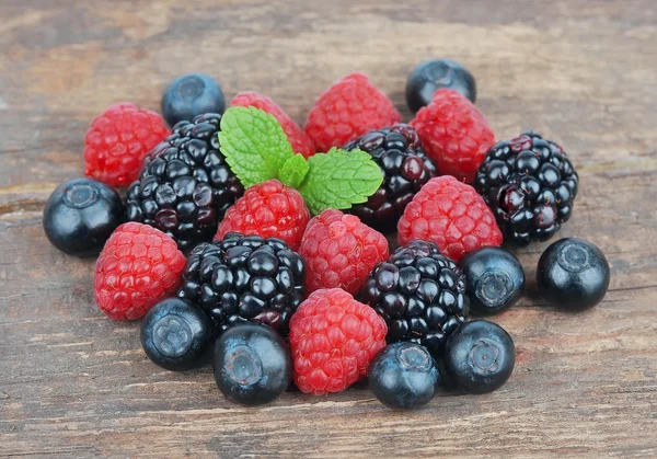 Fresh wild berries — Stock Photo, Image