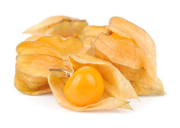 Physalis-Beere — Stockfoto