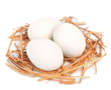 Beyaz bir yuvadaki yumurta