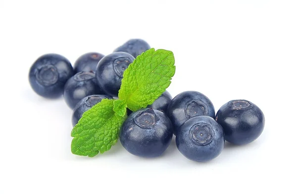 蓝莓与薄荷 — 图库照片