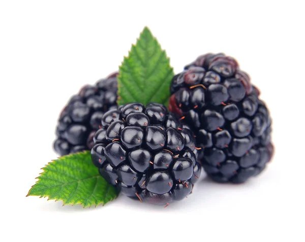Zoete blackberry vruchten — Stockfoto