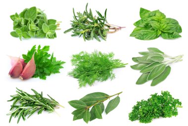 Yeşil baharat ayarlayın