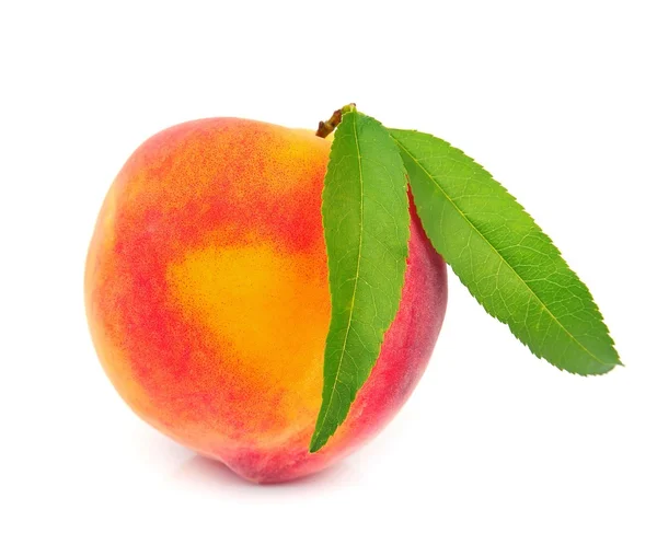 Single peach with leaves — Stock Photo, Image