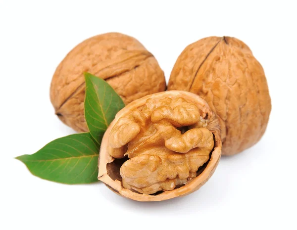 Sušené vlašské ořechy — Stock fotografie
