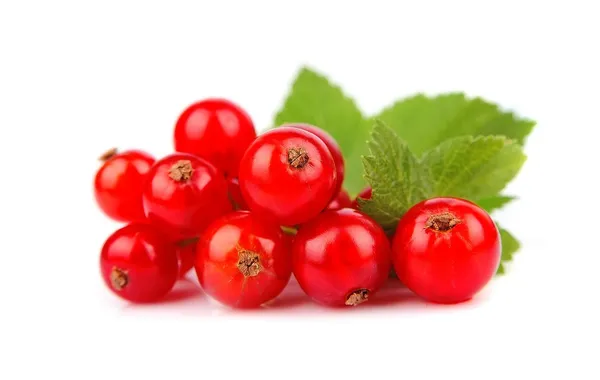 Rote Johannisbeeren — Stockfoto