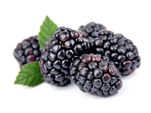 Sweet and juice blackberry fruit — Stock Photo, Image